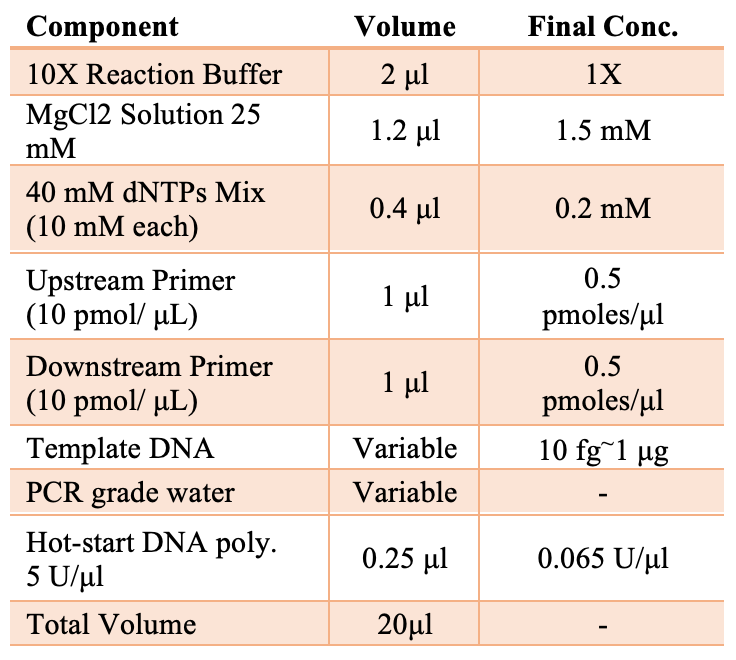 Hot start tag Dna